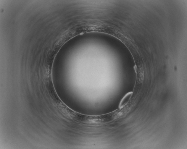 X0000068260657200604211046