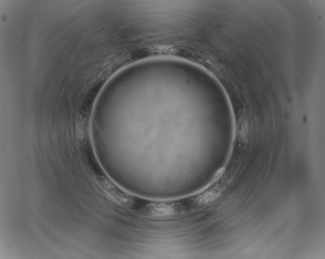 X0000068260658200604211046