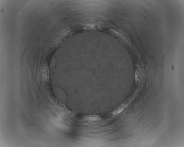 X0000068260659200604211046