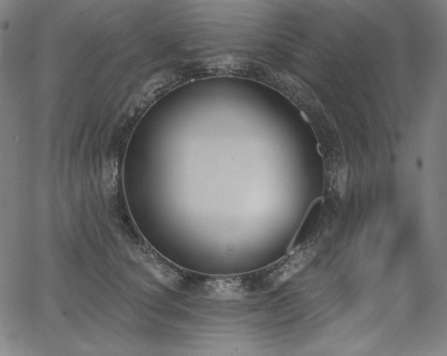 X0000068260660200604211046