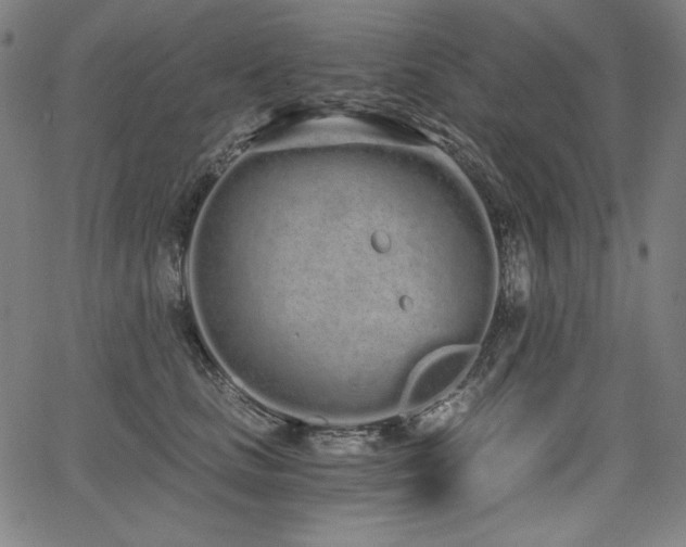 X0000068260661200604211046