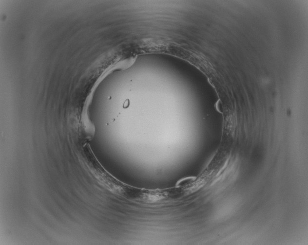 X0000068260662200604211046