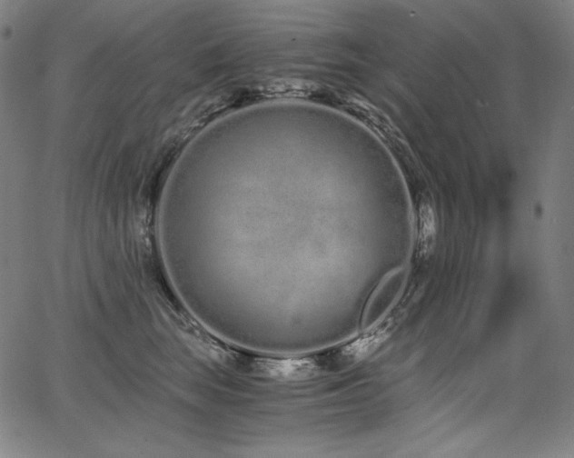 X0000068260663200604211046