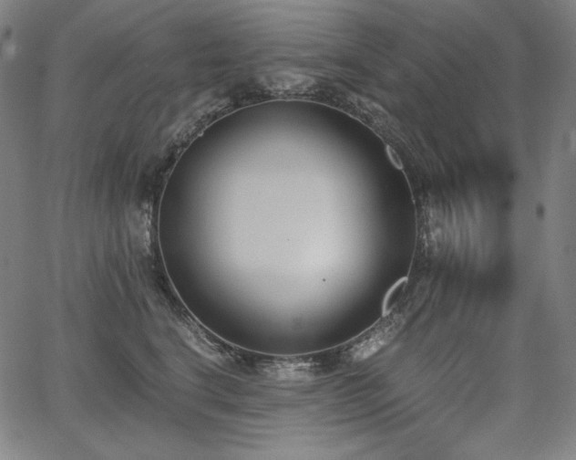 X0000068260664200604211046