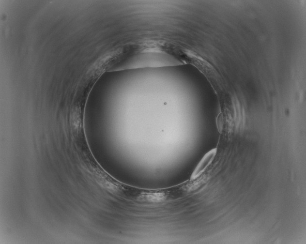 X0000068260665200604211046