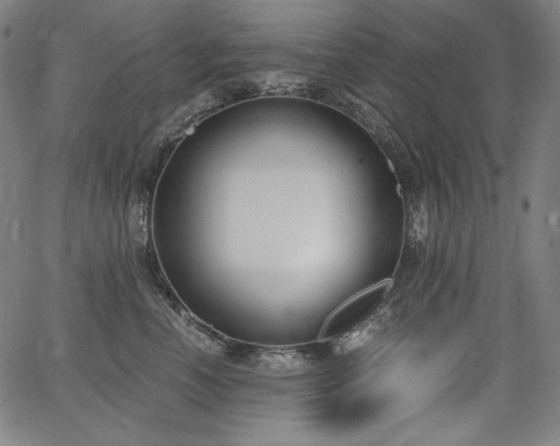 X0000068260666200604211046