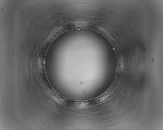 X0000068260667200604211046