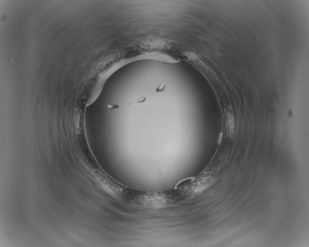 X0000068260668200604211046