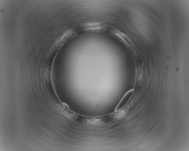 X0000068260669200604211046