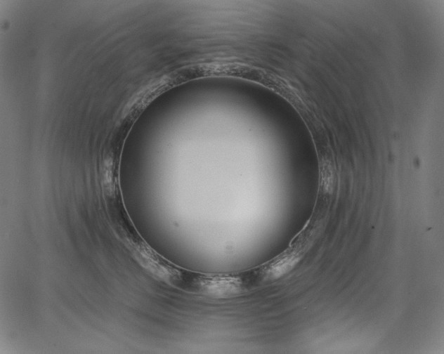 X0000068260670200604211046