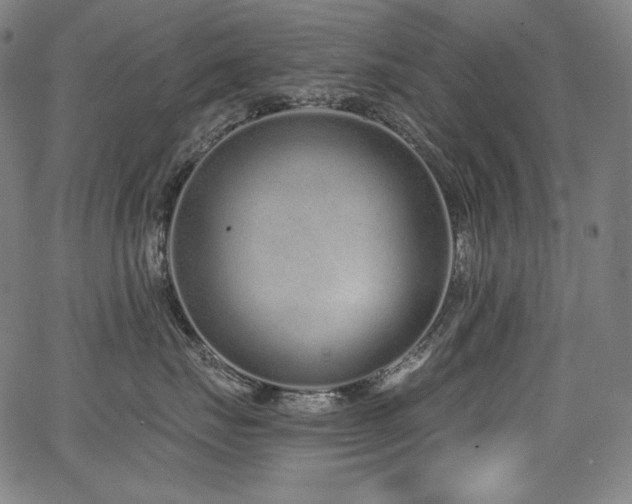 X0000068260671200604211046