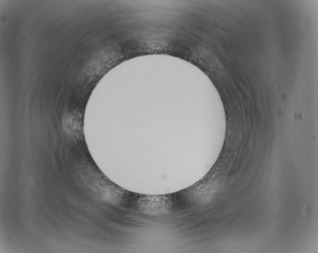 X0000068260672200604211046