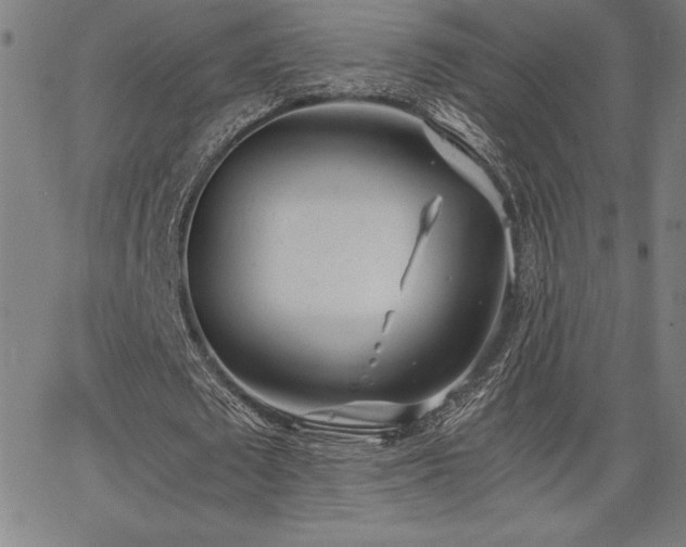 X0000068260673200604211045