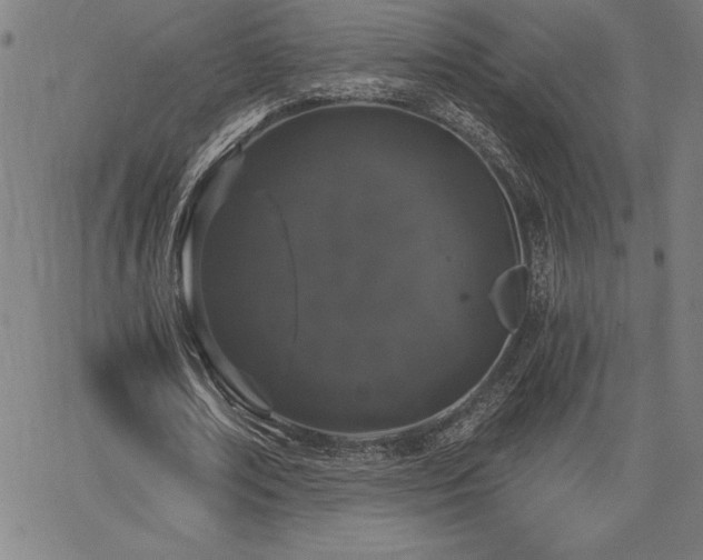 X0000068260674200604211045