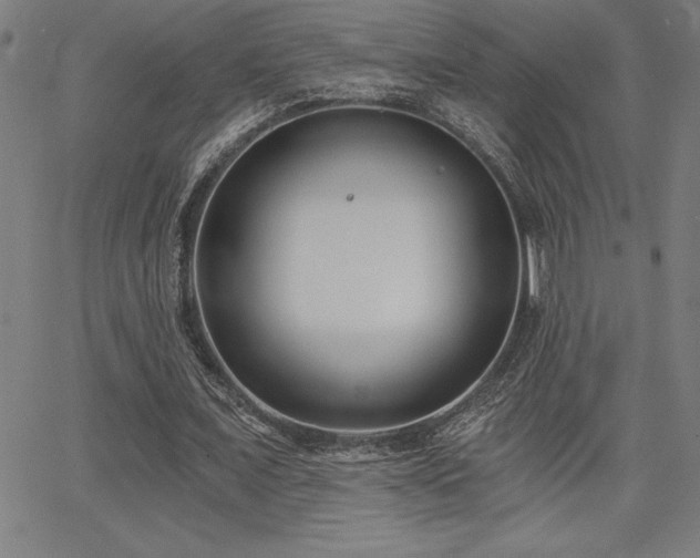 X0000068260675200604211045