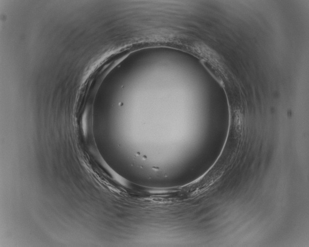 X0000068260676200604211045