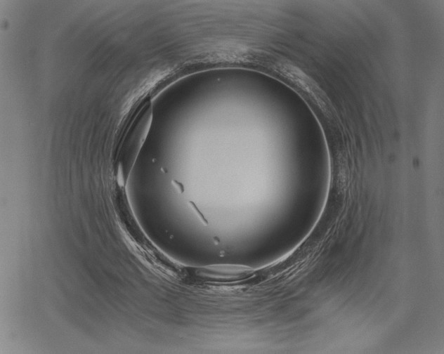 X0000068260677200604211045