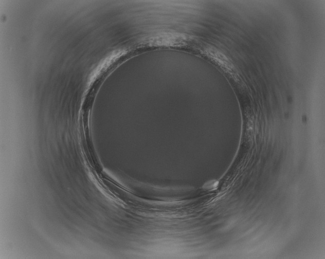 X0000068260678200604211045