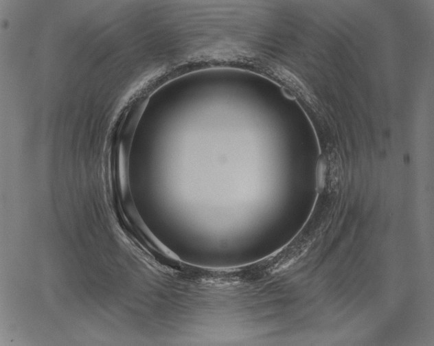 X0000068260680200604211045