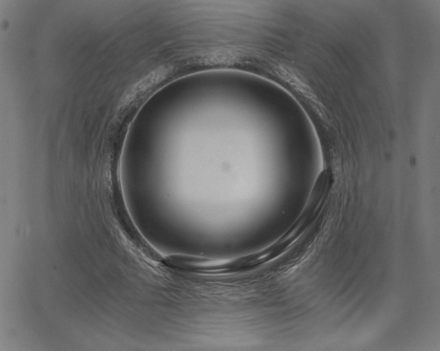 X0000068260681200604211045