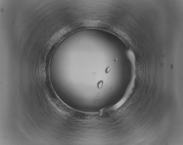 X0000068260682200604211045