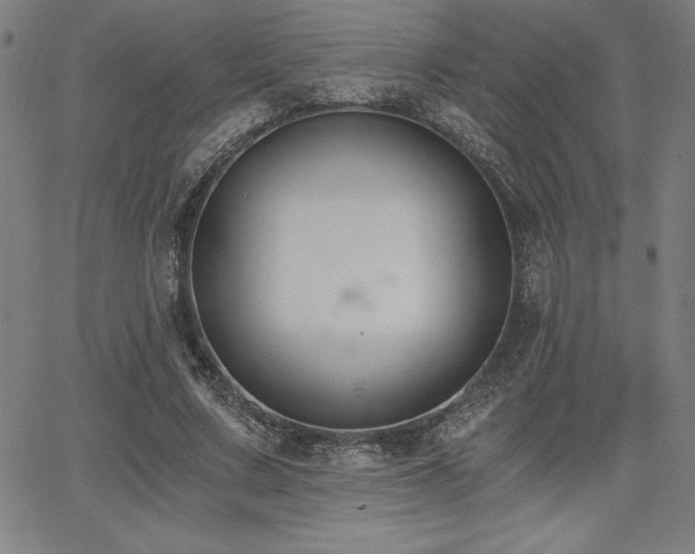 X0000068260683200604211045