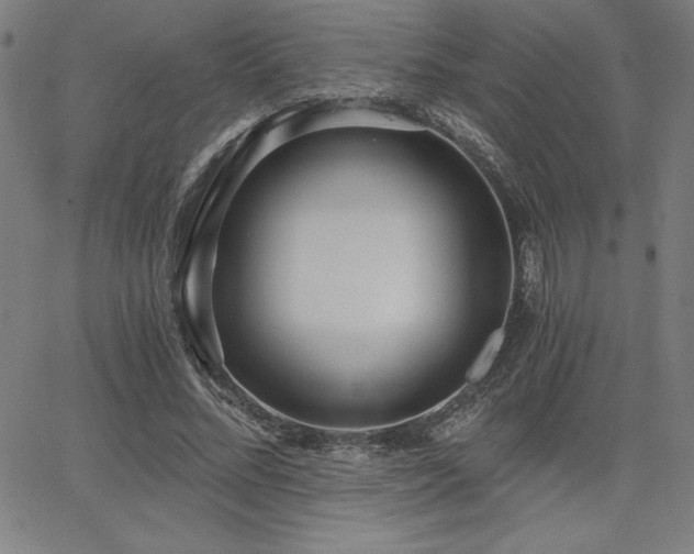 X0000068260684200604211045