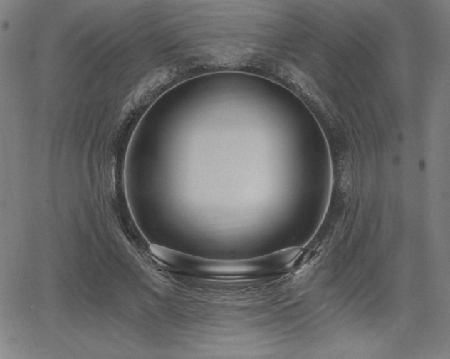 X0000068260685200604211045