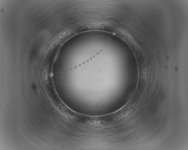 X0000068260687200604211045