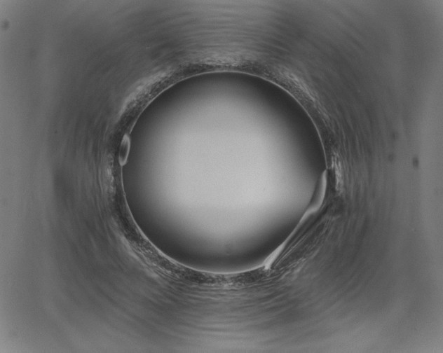 X0000068260688200604211045