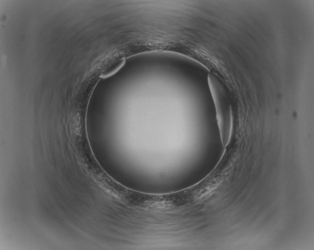 X0000068260689200604211045