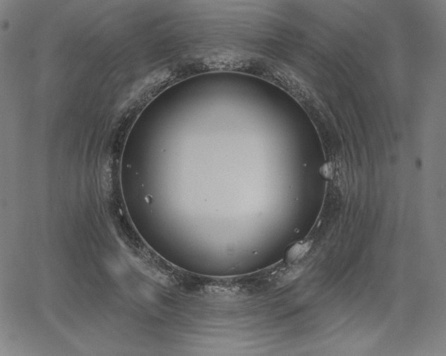 X0000068260690200604211045