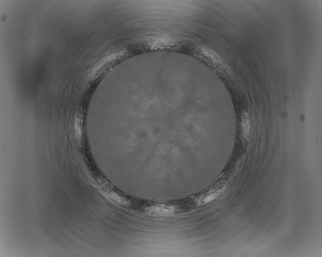 X0000068260691200604211045