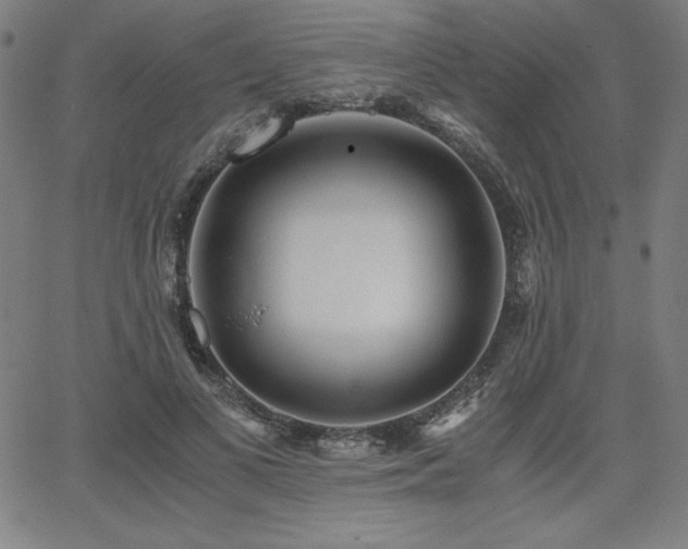 X0000068260693200604211045