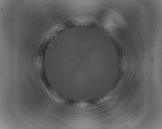 X0000068260695200604211045