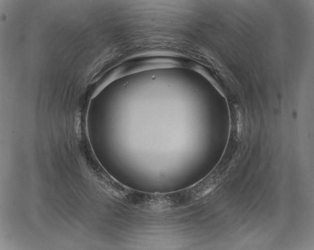 X0000068260696200604211045