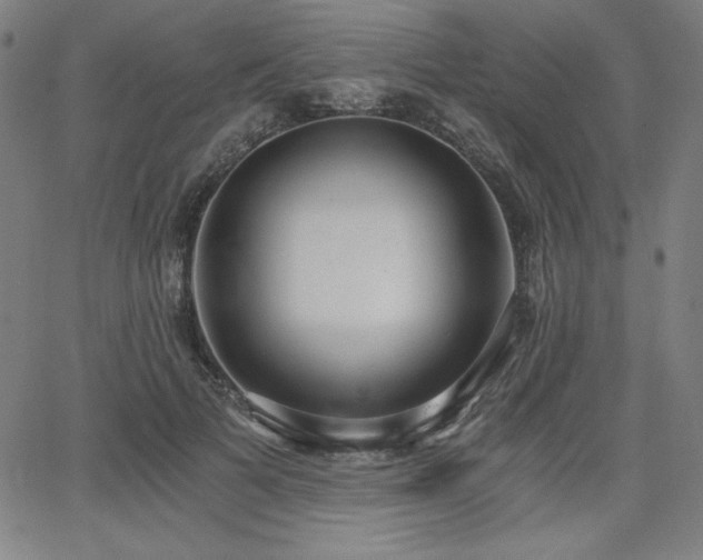 X0000068260697200604211045