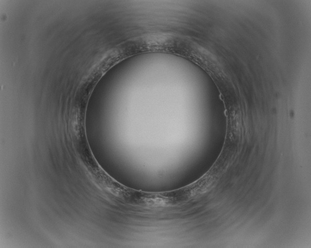 X0000068260698200604211045