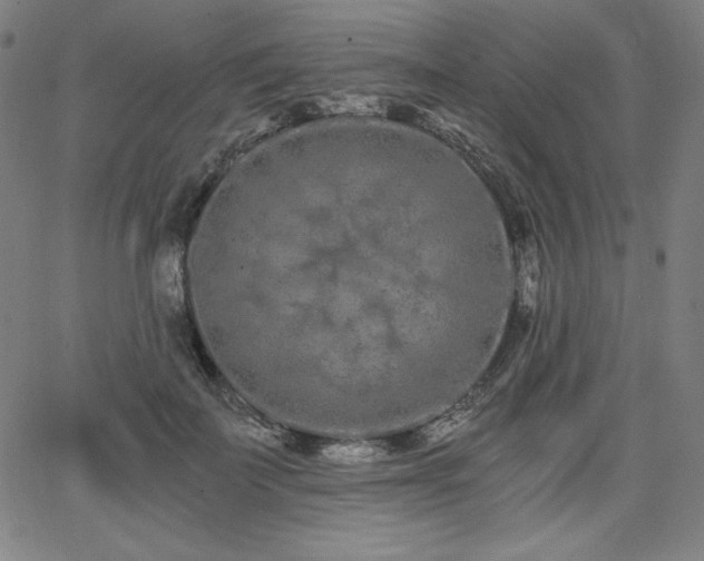 X0000068260699200604211045