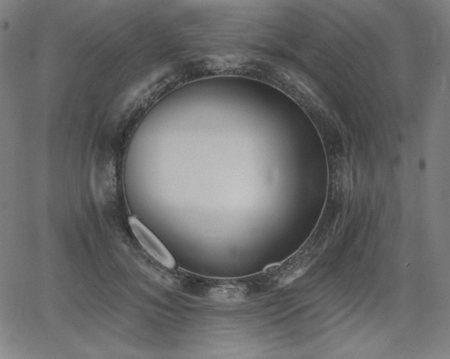 X0000068260700200604211045