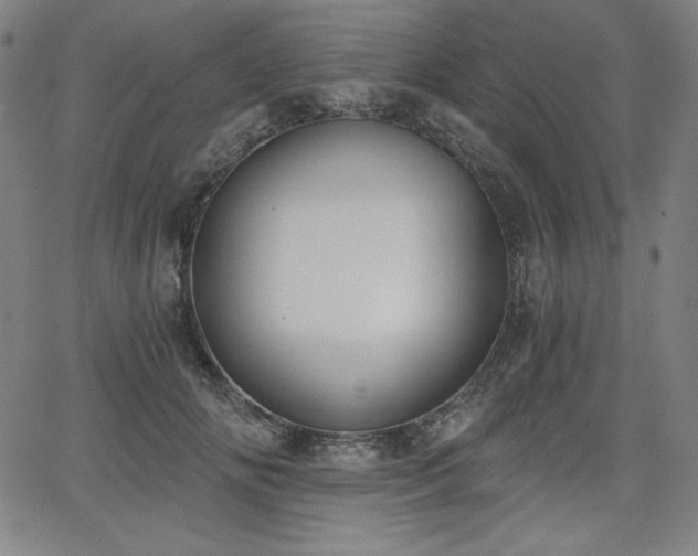 X0000068260702200604211045