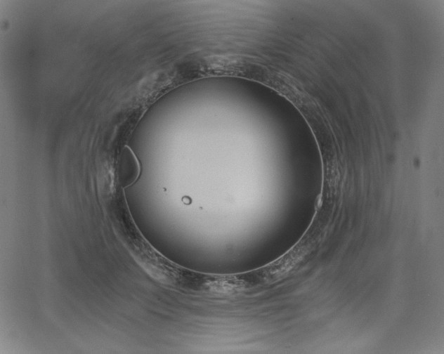 X0000068260703200604211045