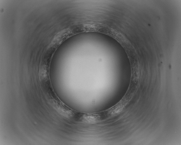 X0000068260706200604211045