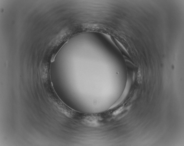 X0000068260708200604211045