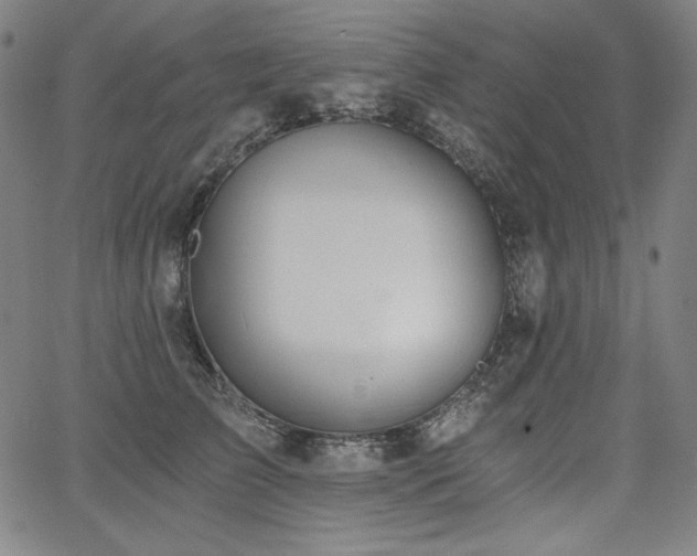 X0000068260709200604211045