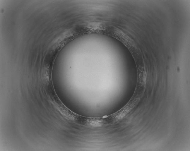 X0000068260710200604211045