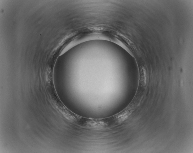 X0000068260712200604211044