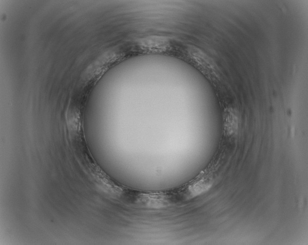 X0000068260713200604211044