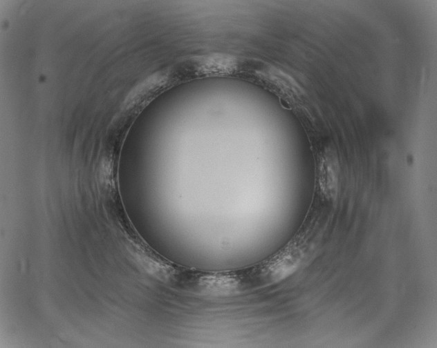 X0000068260714200604211044