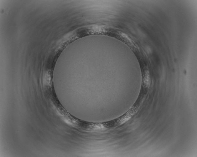 X0000068260715200604211044